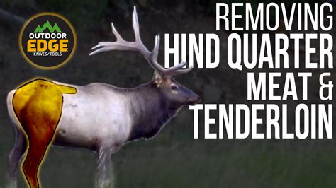 removing hind quarter meat  tenderloin eastmans official blog