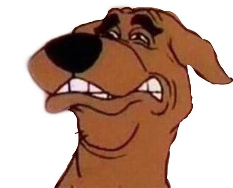 Meme Memes Disgusted Disgusting Scoobydoo Scooby Doo