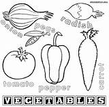 Worksheets Vegetabless Coloringhome Sheets Celery Menggambar Kelas Ables sketch template