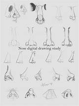 Nose Anatomy sketch template