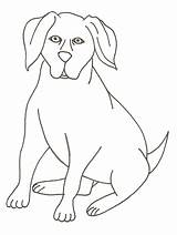 Chien Gros Hunde Coloringpagebook Ancenscp Malvorlagen sketch template