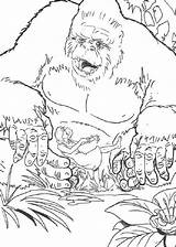 Kong Dibujos Affen Scimmia Colorare Dibujosparacolorear Clic Ausmalen Malvorlage Kategorien sketch template