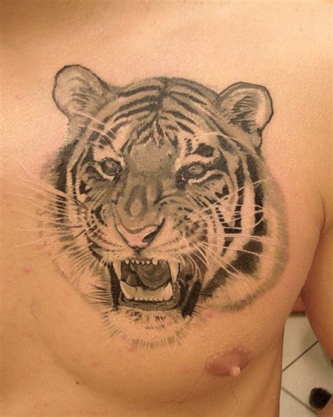 realistic big detailed roaring tiger tattoo  chest tattooimagesbiz