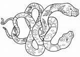 Schlange Erwachsene Kobra sketch template