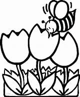 Coloring Bee Pages Flowers Sheet Kids Flower Color Printable Spring Bees Outline Bumble Clip Colouring Tulip Print Sheets Theme Own sketch template