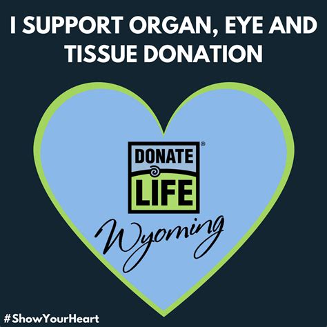 national donate life month toolkit donor alliance