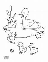 Pond Duck Coloring Pages Drawing Clipart Ducks Getdrawings Getcolorings Quiet Sc Book Color sketch template