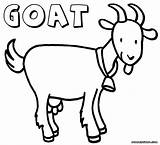 Goat Coloring Cartoon Boer Mountain Printable Goats Sheet Animal Getcolorings Pdf Adult Choose Colori sketch template