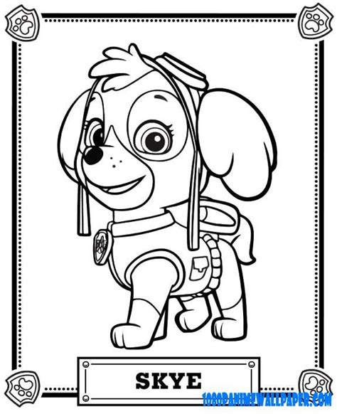 paw patrol paw patrol colouring pages paw patrol coloring paw