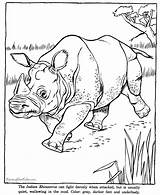 Animal Coloring Pages Rhino Zoo Drawing Indian Drawings Rhinoceros Animals Kids Printable Rhinos Colouring Color Rottweiler Honkingdonkey Wild Tomahawk Put sketch template