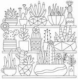 Cactus Succulent Suculentas Dibujos Mandalas Coloriages Terrarium Succulents Faciles Bordado Adultos Shopkins Cleverpedia Bordar Therapy Dezenhos Vector sketch template