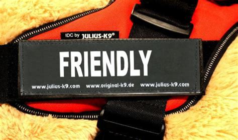 friendly large harness labels set   labels patches juliusk canada