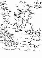 Thumper Coloring Pages Disney Colouring Printable Getcolorings Bunny Adult Dibujos Para Miss Kids Cute Choose Board Bunnies sketch template