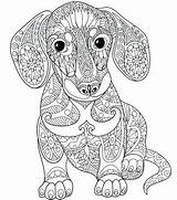 Printable Coloring Mandala Pages Animal Adults Animals Color Colouring Adult Dachshund Print Line Getdrawings Zen After Getcolorings Colorings Drawing sketch template