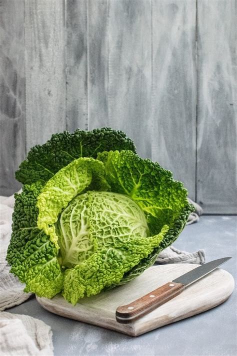 top  tips    grow cabbage reuse grow enjoy