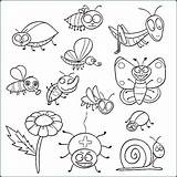 Coloring Insect Pages Insects Color Colouring Bugs Pdf Kids Printable Garden Preschool Getdrawings Sheets Online Book Zini Animal sketch template