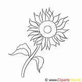 Sonnenblume Malvorlage Ausmalbilder Malvorlagen Sonnenblumen Ausdrucken Fensterbilder Inspirierend Gratis Malvorlagenkostenlos Blumenmotive Titel Drucken sketch template