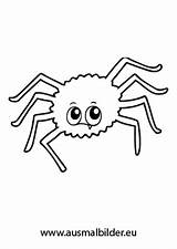 Spinne Fragende Malvorlagen Spinnen Hexe Katzen Fledermaus Katze Geist Zeichnungen Fliegende Tiere Schablonen sketch template