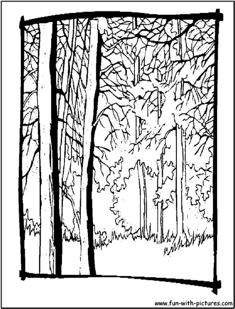 autumn trees coloring page