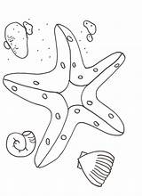 Starfish Coloring Pages Printable Kids sketch template
