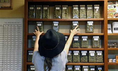 pot blocks obstacles keep small business owners from a multibillion
