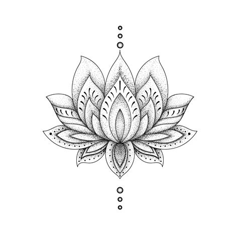 lotus flower outline design beautiful insanity