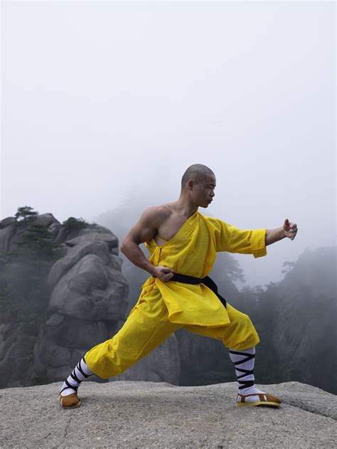Shifuyanlei In 2023 Kung Fu Martial Arts Female Athletes Martial