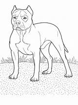 Pages Dog Coloring Adult Pitbull Coloringpagesforadult Colouring Kids Animal Printable sketch template