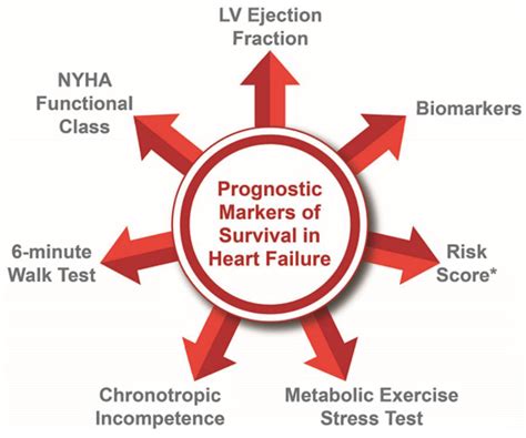 jcm  full text prognostic role  metabolic exercise testing