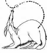 Anteater Eating Planse Colorat sketch template