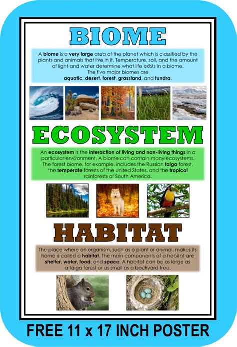 biomes ecosystems    biome poster biomes ecosystems