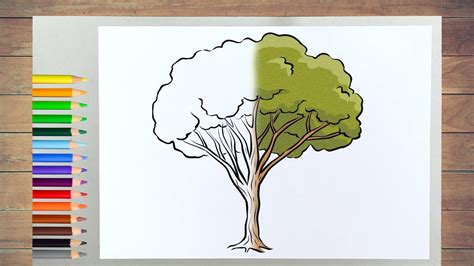 create  stunning tree drawing   beautiful pencil tips  tricks