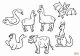 Llama Mama Coloring Pages Set Printable Pajama Red Elf Shelf Activities Printables Crafts Drawing Cat Animals Animal Characters Silhouettes sketch template