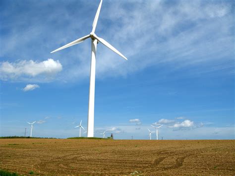 wind turbines  photo  freeimages