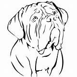 Mastiff Bordeaux Dogue French Dog Sticker Car Stickers Decal Silhouette Choose Board Drawing sketch template