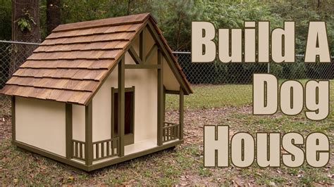 build  dog house youtube