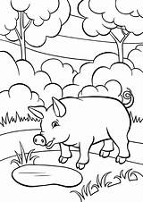 Pig Coloring Pages Color Print Animals из категории все раскраски sketch template