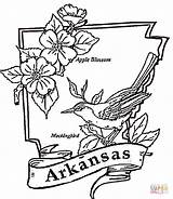 Arkansas Coloring Pages Printable Illinois State Flag Tattoo Razorbacks Color Colorings Supercoloring Kids Facts Getcolorings Drawing Colorado Getdrawings Choose Board sketch template