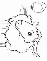 Sheep Coloring Pages Color Animals Animal Print Back sketch template
