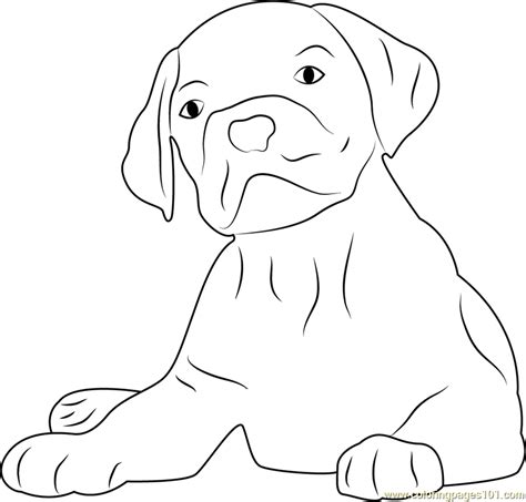 lovely dog face coloring page  kids  dog printable coloring
