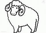 Drawing Coloringhome Lamb Clipartmag sketch template