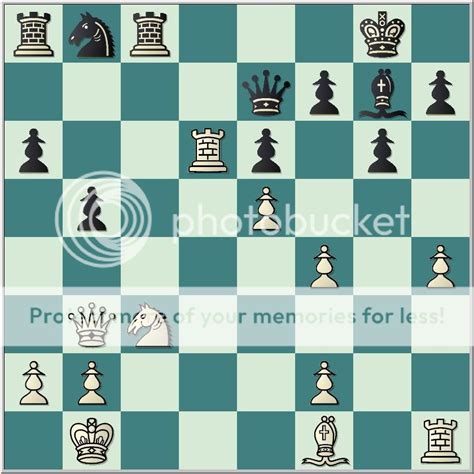 chess skills wijk aan zee  twelve