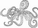 Octopus Coloring Pages Printable Dr Cuttlefish Color Adults Animal Mandala Adult Zentangle Drawing Vector Print Getcolorings Getdrawings Tattoo Seuss Therapy sketch template