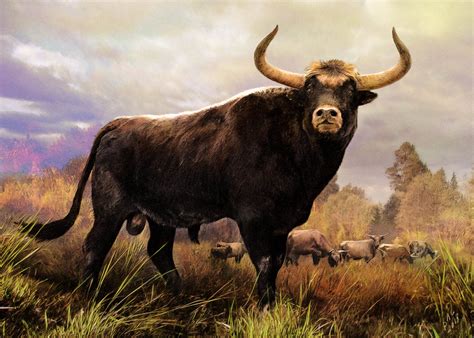 aurochs bos primigenius  velizar simeonovski prehistoric wildlife