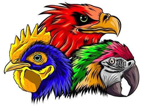 parrot head vector illustration logo icon art stock vector illustration  head summer