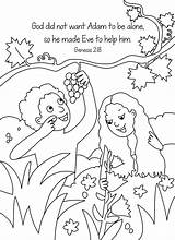 Coloring Bible Eve Adam Preschool Pages Creation Genesis Kids Story Children Activities Stories sketch template