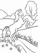Kleurplaat Paarden Paard Makkelijk Kolorowanki Konie Tekenen Steigeren Farma Nogach Dwóch Stojący Konik Champ Debout Mayka Drukowania Planetadziecka Uitprinten Druku sketch template
