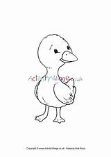 Duckling Colouring Duck Pages Cute Village Activity Explore Activityvillage Pond sketch template