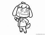 Crossing Animalcrossing Coloring4free Raymond Pili Celeste Maybe Wikia Acnl sketch template