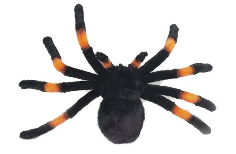 soft toy spider orange kneed tarantula  hansa cm  lincrafts